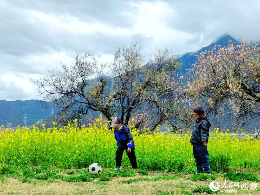 孩童在桃花下嬉戲。人民網(wǎng) 李海霞攝