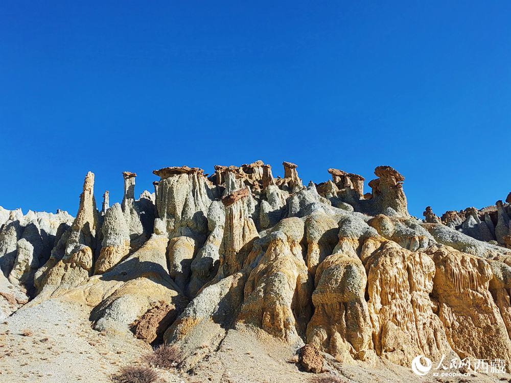 形態(tài)各異的土林。人民網 李海霞攝