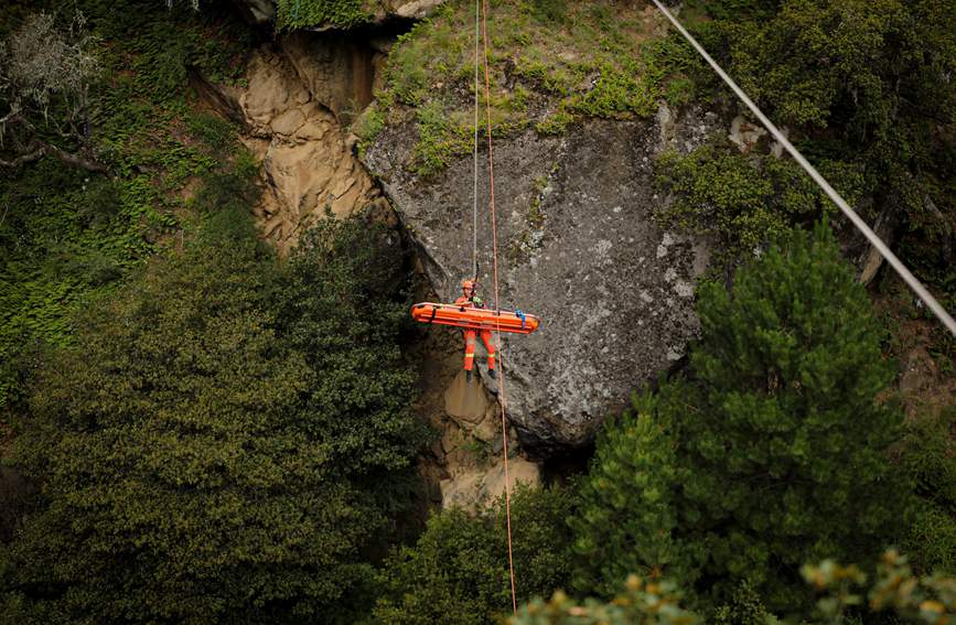 叢林中的橙色身影。西繞拉翁攝
