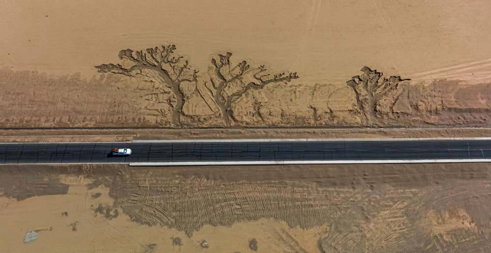 位于國(guó)道216沿線的“大地之樹(shù)”。邊巴多吉攝