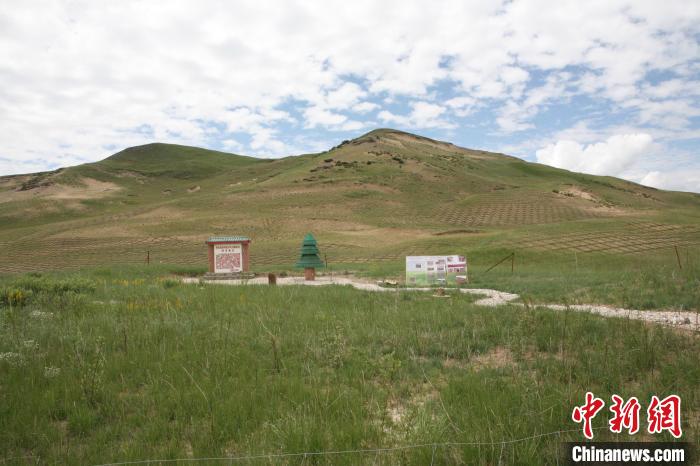 四川省阿壩州若爾蓋縣草原沙化治理后。若爾蓋縣林業(yè)和草原局供圖