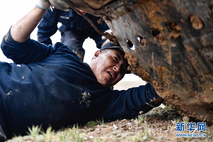 （圖文互動）（1）記者手記：可可西里，“挪”向“藏羚羊大產(chǎn)房”的14個半小時