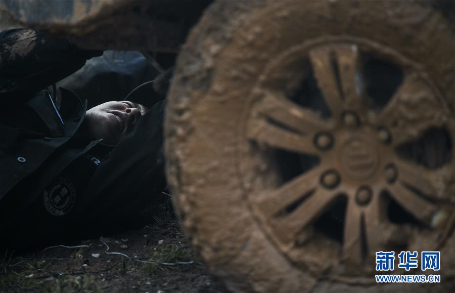 （圖文互動）（8）記者手記：可可西里，“挪”向“藏羚羊大產(chǎn)房”的14個半小時