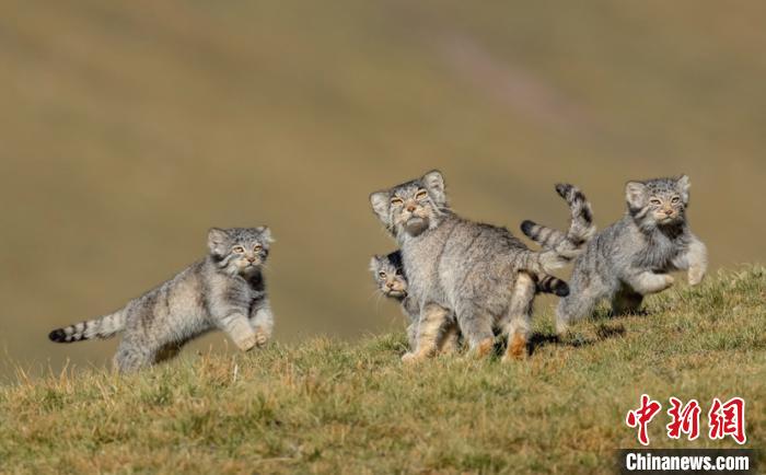 圖為李善元獲獎作品《當(dāng)媽媽說跑步前進(jìn)》。　李善元 攝
