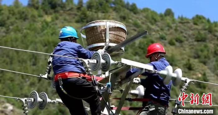 國網(wǎng)青海電力：三江源4000多個“人工鳥巢”實行一體化管理