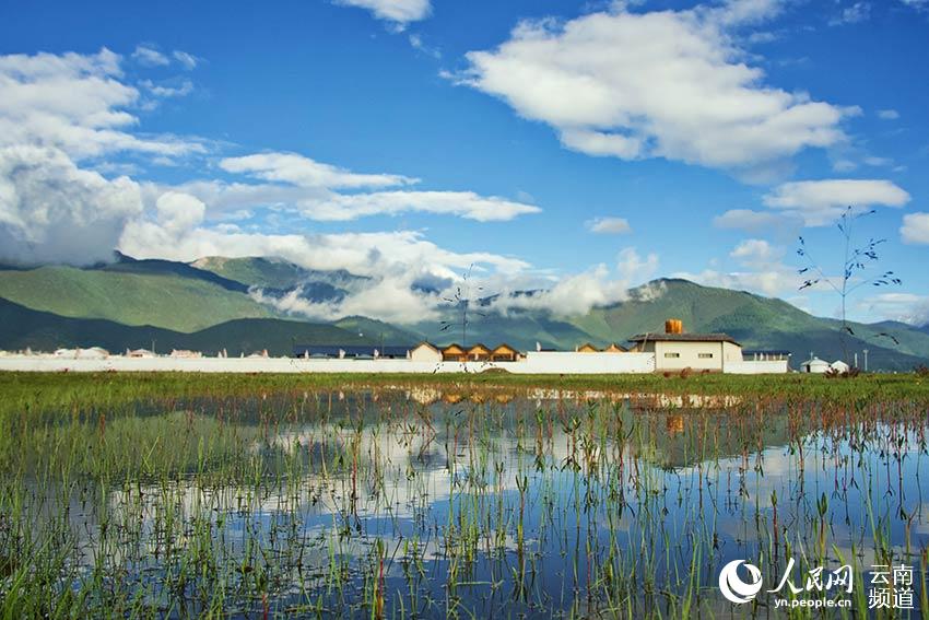 納帕海濕地風(fēng)景。呂昊辰攝