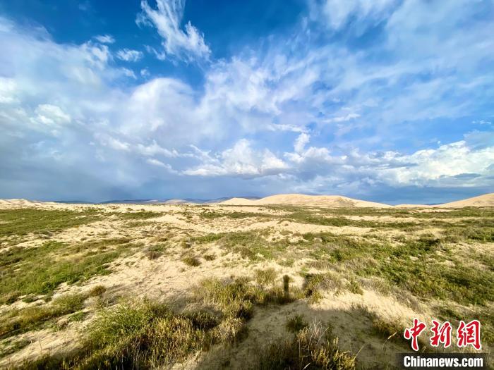 圖為關(guān)停四年后的沙島景區(qū)現(xiàn)狀?！±罱瓕?攝