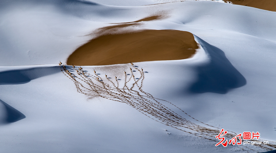 三江源國家公園正式設(shè)立，這是青海生態(tài)文明建設(shè)的新答卷