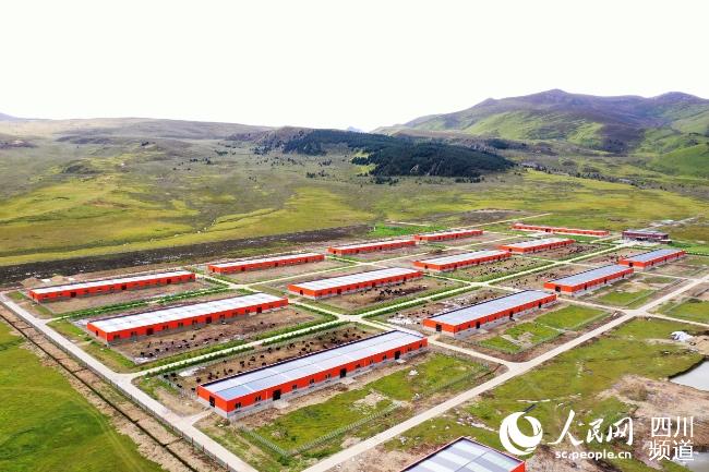 建設中的理塘縣牦牛產(chǎn)業(yè)園。葉強平攝