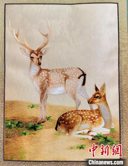 圖為藏繡作品?！∑钤鲚?攝