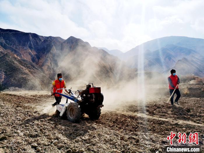 圖為拖拉機(jī)在山地犁地?！?zhí)砀?攝