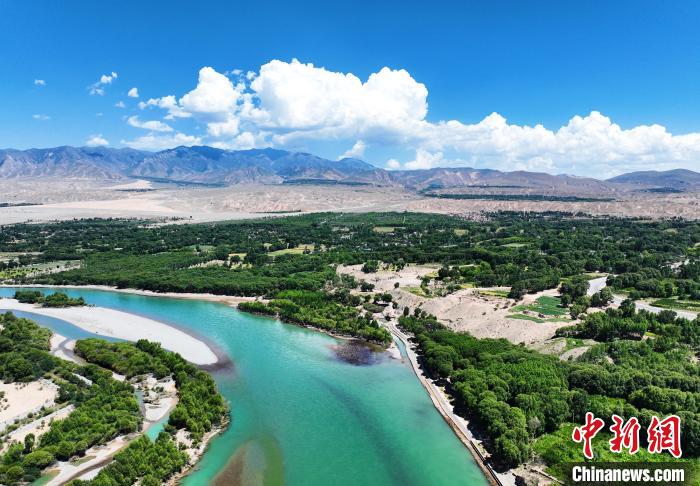航拍貴德縣黃河岸畔綠意盎然。　馬銘言 攝
