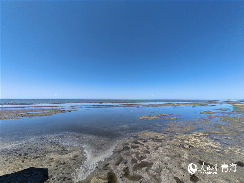   青海湖仙女灣。人民網(wǎng) 張莉萍攝