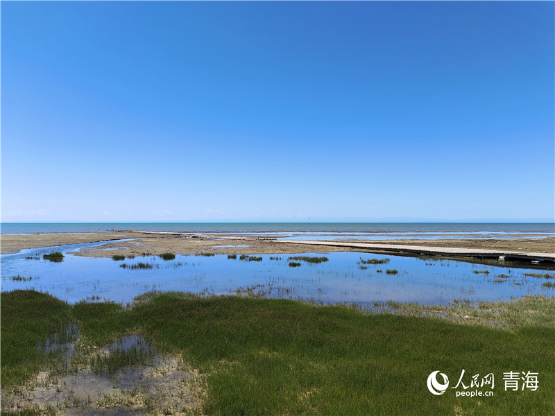   青海湖仙女灣。人民網(wǎng) 張莉萍攝