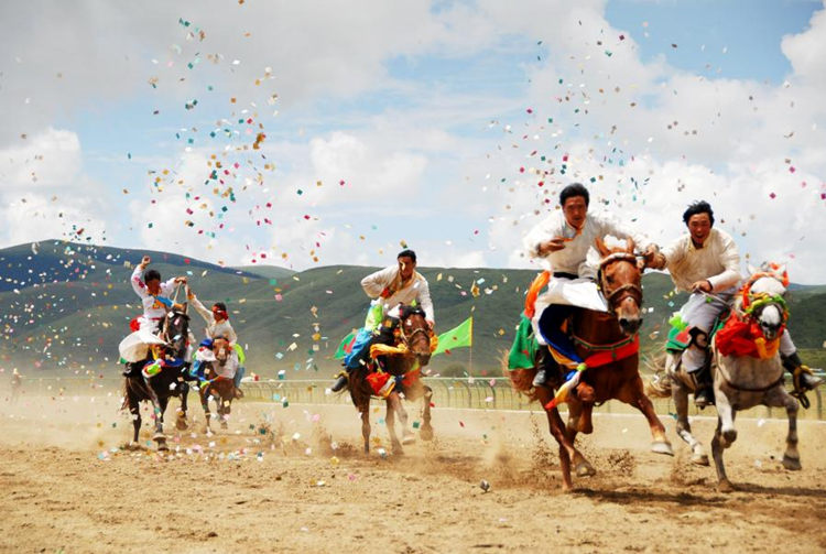 草原賽馬。阿壩州新聞傳媒中心供圖