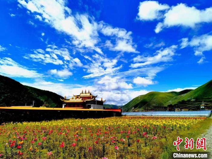 近百畝百合花競相開放，景色誘人?！∪捞量h委宣傳部供圖