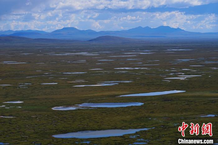 圖為查旦濕地?！●R銘言 攝