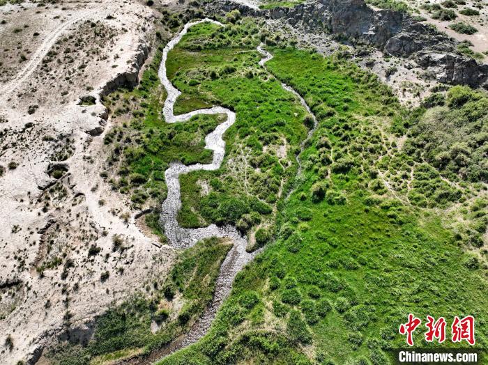 圖為航拍都蘭湖國(guó)家濕地公園綠意盎然?！∑钤鲚?攝