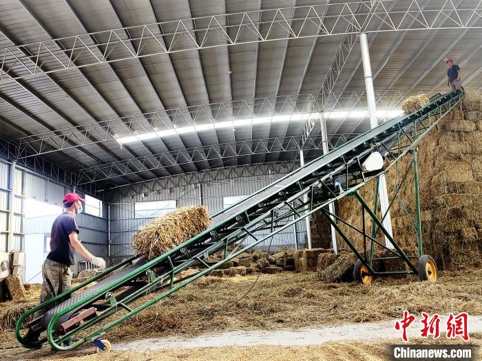 圖為飼草打捆、儲(chǔ)存?！●R芝芬 攝