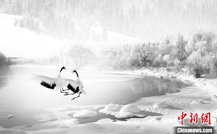 圖為焦生福的作品《鶴嬉雪林》。　青海省祁連山自然保護(hù)協(xié)會(huì)供圖