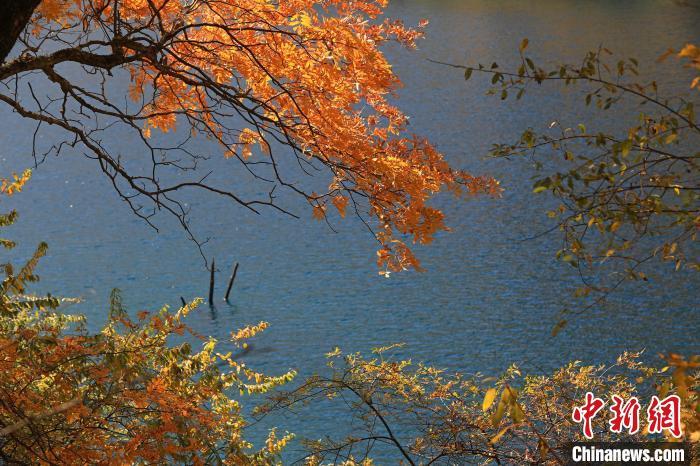 松坪溝風(fēng)光?！⑼?攝