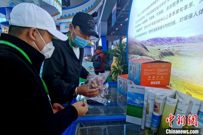 圖為青海參展商整理牛羊肉?！±铍h 攝