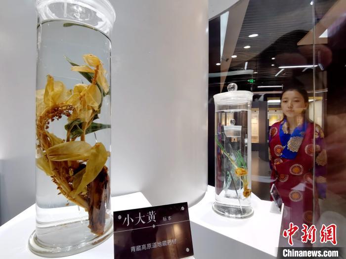 青海中藏醫(yī)藥發(fā)展提速：建設(shè)一批重點(diǎn)?？茖W(xué)科，推廣一批適宜技術(shù)