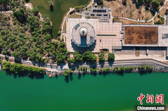 航拍青海貴德黃河岸畔綠意濃濃?！≮w凜松 攝