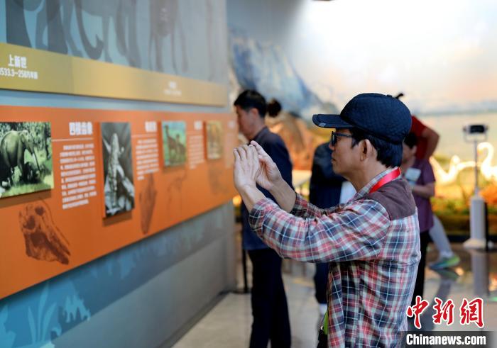 圖為臺(tái)商在祁連山國家公園生態(tài)科普館觀看墻面藝術(shù)圖文?！⊙Φ?攝