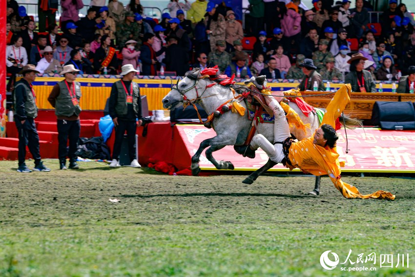 馬術表演現(xiàn)場。洛絨尼瑪攝