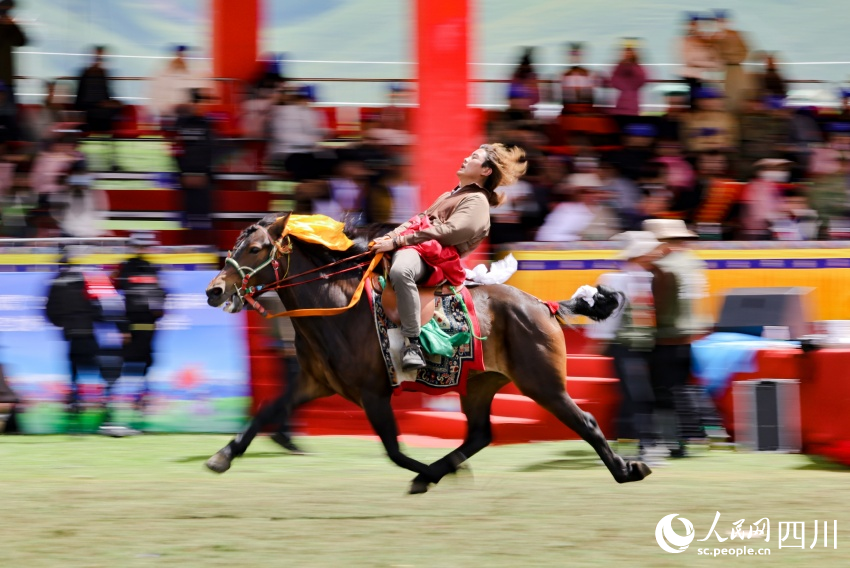 馬術表演現(xiàn)場。洛絨尼瑪攝