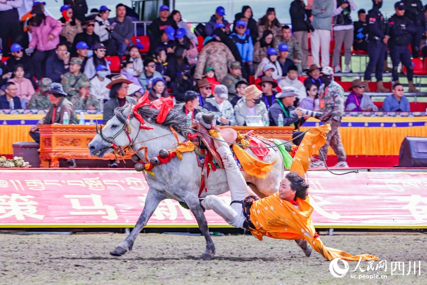 馬術表演現(xiàn)場。洛絨尼瑪攝