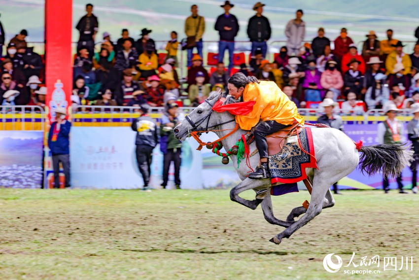 馬術表演現(xiàn)場。洛絨尼瑪攝