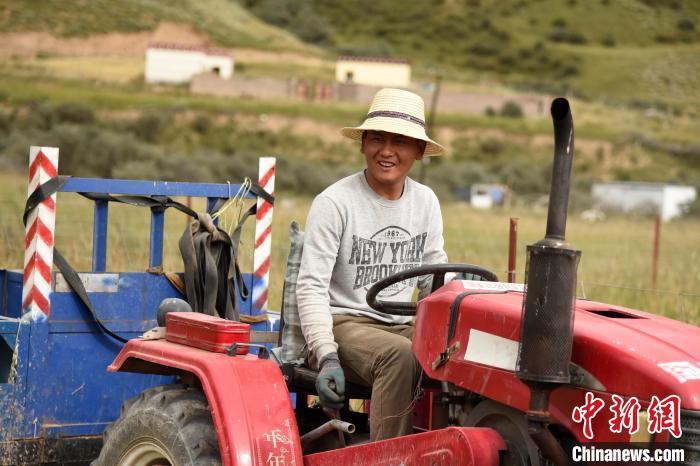 青海囊謙：喜迎秋收，又是一年“豐”景