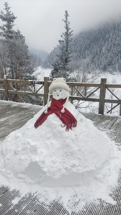 游客堆的雪人。九管局供圖