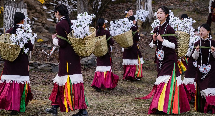 2024美人谷·丹巴梨花春賞季活動現(xiàn)場。何曦攝