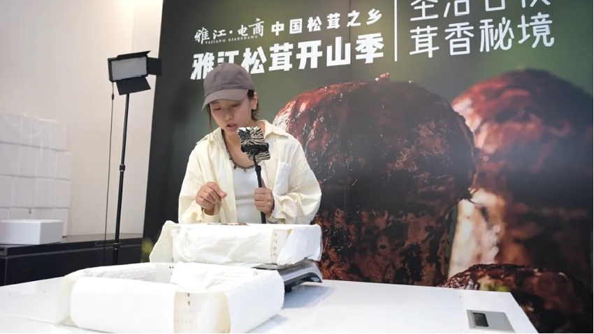 直播現(xiàn)場(chǎng)。雅江外宣供圖