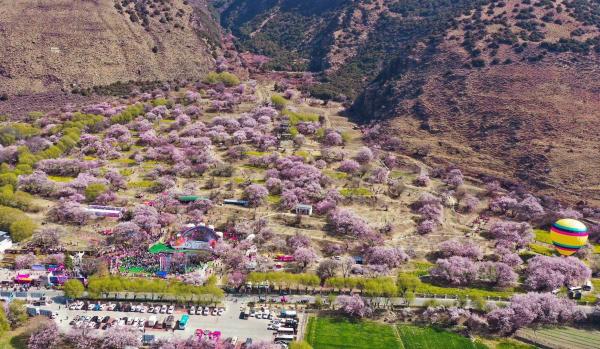 世外桃源！一組圖告訴你，西藏林芝桃花能有多美