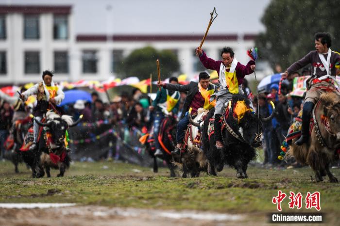 圖為拉薩郊縣的賽馬節(jié)(資料圖)。何蓬磊 攝