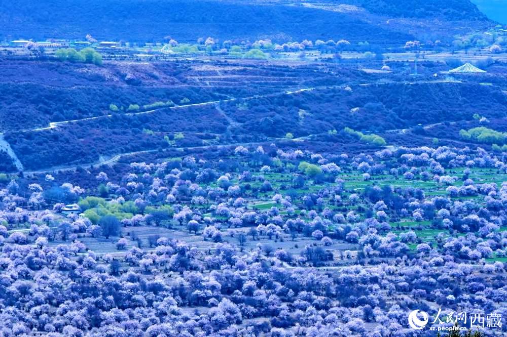 遠(yuǎn)眺“桃花村”。人民網(wǎng) 李海霞攝