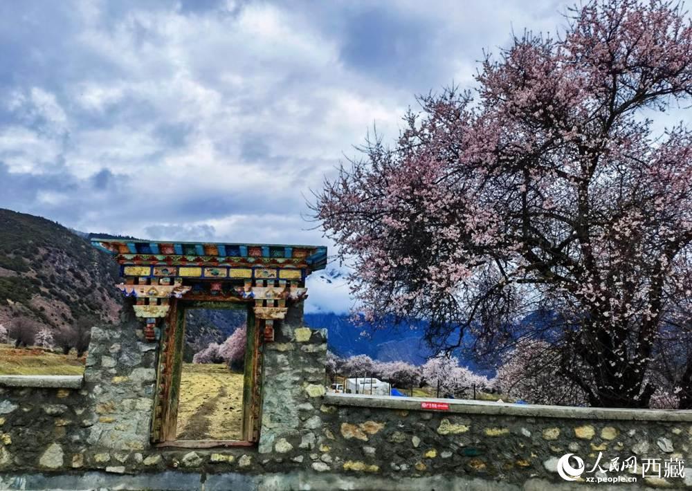桃花下的藏式民居。人民網(wǎng) 李海霞攝