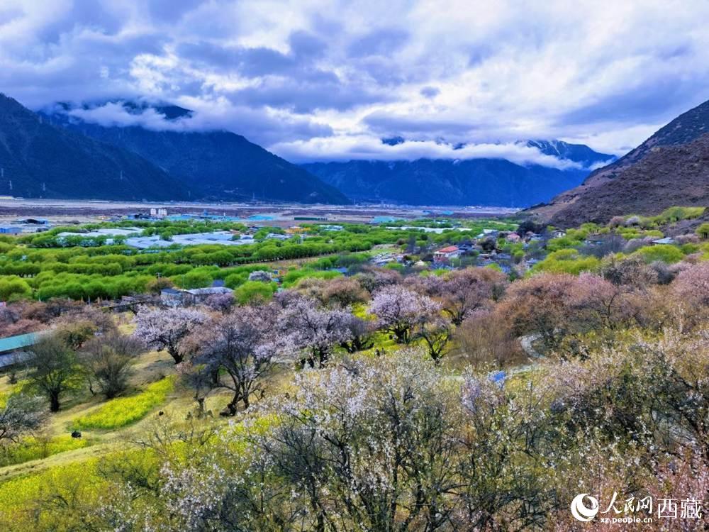 桃花從中的“童話小鎮(zhèn)”。人民網(wǎng) 李海霞攝