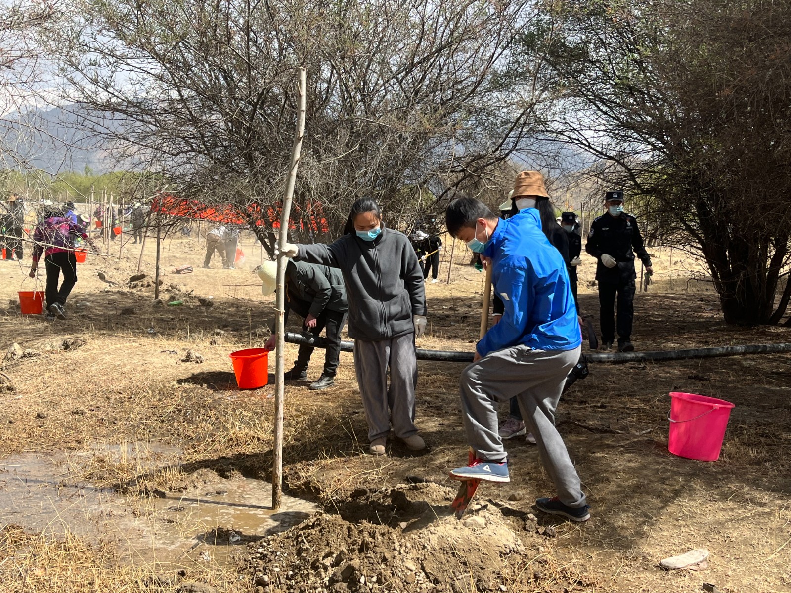 植樹現(xiàn)場，大家分工明確，配合默契(2000565)-20220420090303.jpg