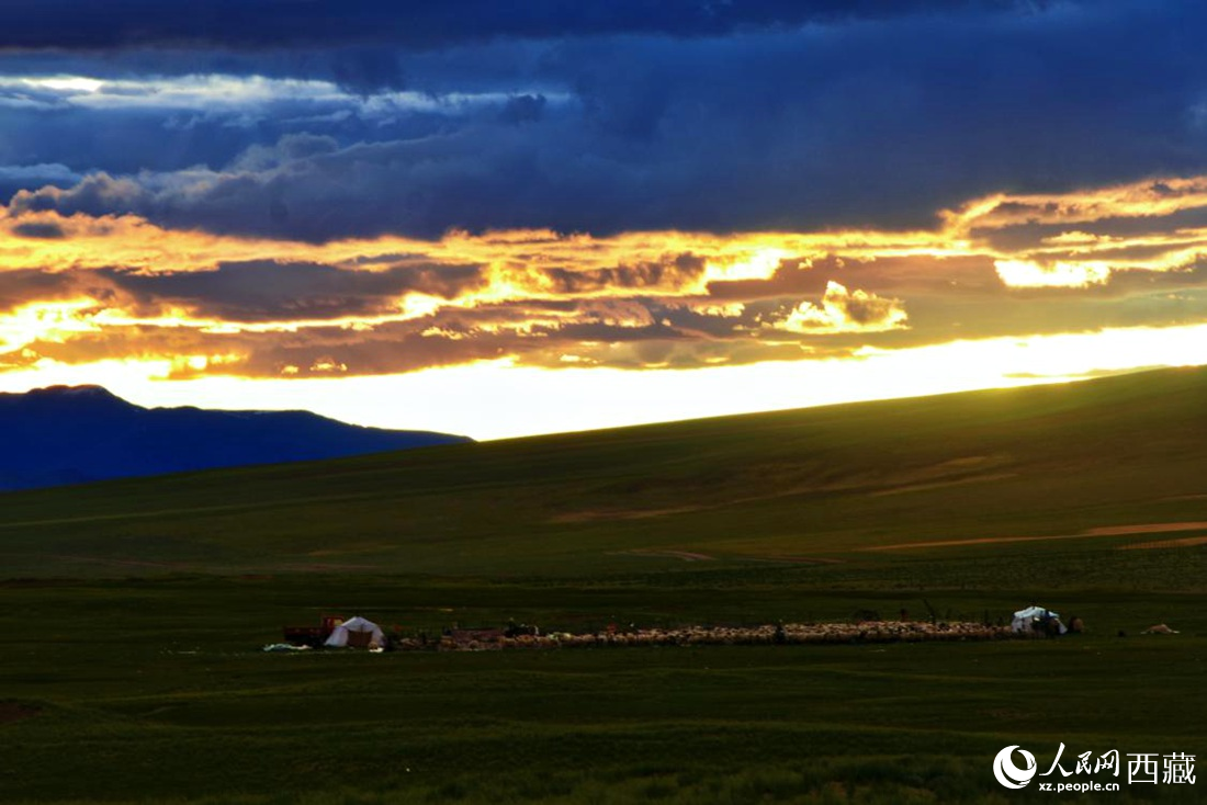 黃昏下的帳篷，牧民過著幸福生活。 人民網(wǎng) 李海霞攝