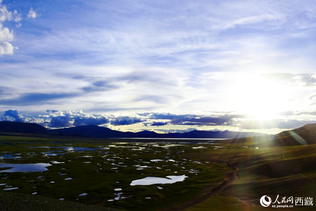 七月的羌塘草原處處是景。人民網(wǎng) 李海霞攝