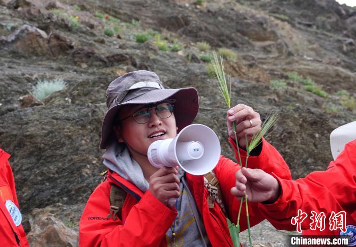 青藏科考：青稞如何走上青藏高原？