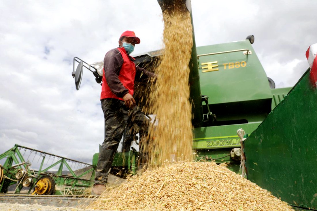 顆粒歸倉。洛克攝