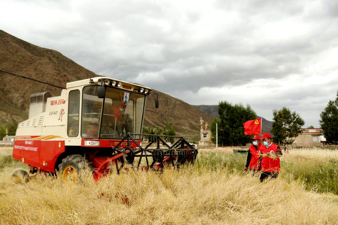 陣陣機(jī)械的轟鳴聲傳來豐收的喜悅。洛克攝