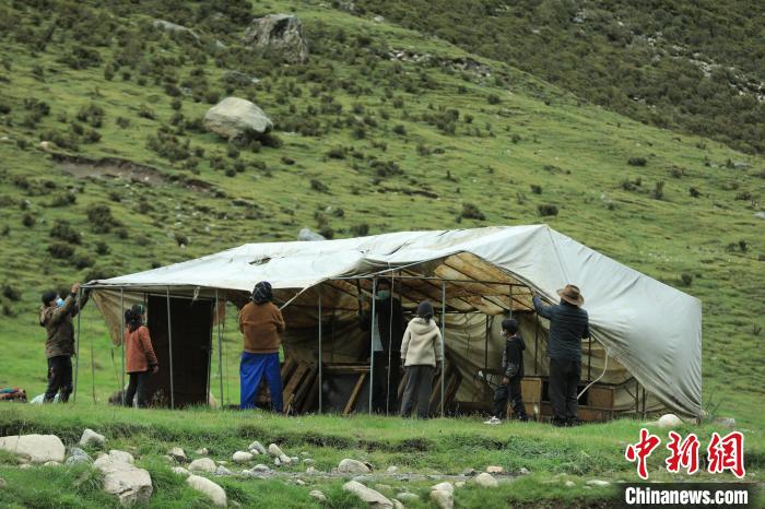 圖為牧民們?cè)谇锛灸翀?chǎng)搭建帳篷?！÷蹇?攝