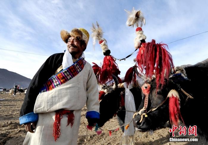 資料圖為2013年3月16日，拉薩市堆龍德慶區(qū)德慶村的農(nóng)民牽著牦牛參加春耕儀式，按照傳統(tǒng)方式由牦牛開第一犁。 <a target='_blank' href='/'><p  align=